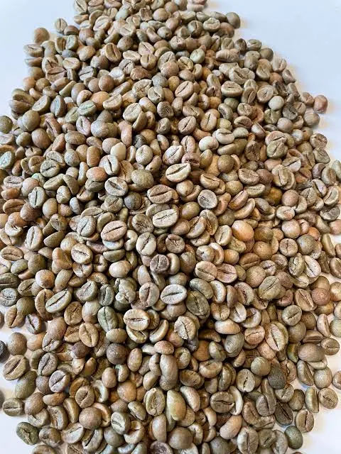 Robusta Cherry