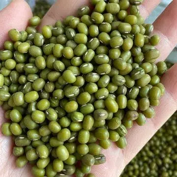 Mung beans / moong