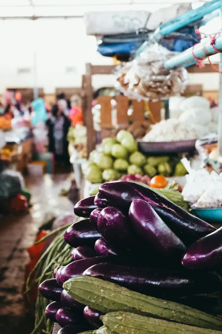 Purple brinjal eggplants displayed at a market