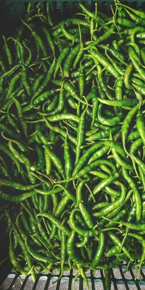 Fresh green chillies in a market crate