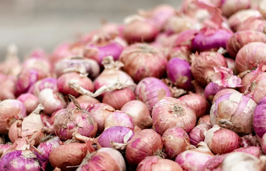 Fresh red onions piled at a market