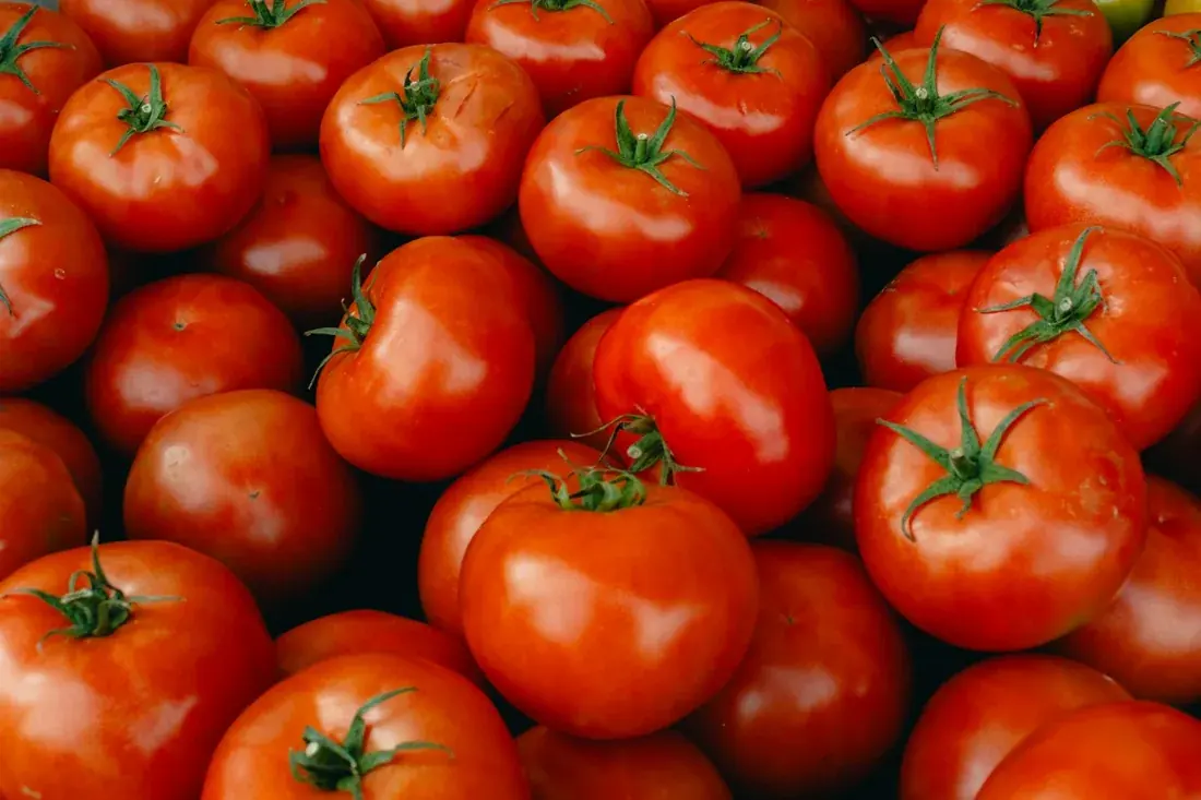 Pile of ripe red tomatoes